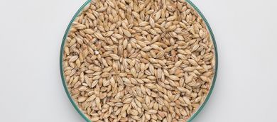 ALE Pale Ale Malt 5-7 EBC 25kg BW BBE